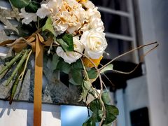 -蓝山四季西餐植物店