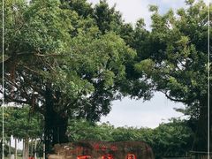 -万绿园