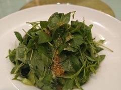 荆芥拌黄瓜-同胜祥清真新豫菜(杜岭街店)