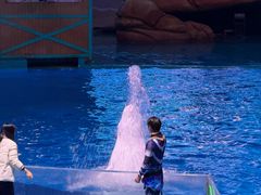 -海合安武汉极地海洋公园