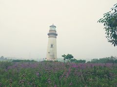 -紫颐香薰山谷景区