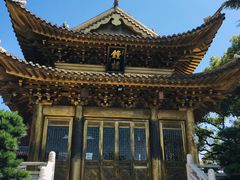 -上海东林寺(金山区)