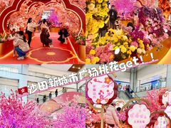 -新城市广场