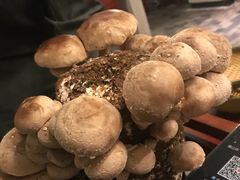 -捞王猪肚鸡火锅(昆山店)