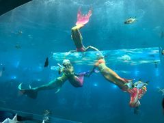 -瑞德姆美人鱼海底演艺主题餐厅(亚龙湾店)