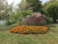 -鹅湖玫瑰文化园