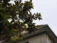 -颐和路民国时期公馆风貌区