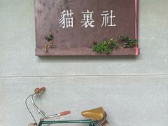 -猫里有甜