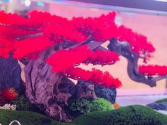 -海韵之星邮轮水会(明发商业广场店)