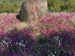 -婺源月亮湾