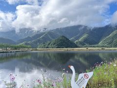 -大九湖