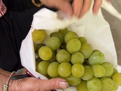 -马陆小张葡萄园农家乐