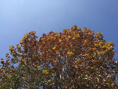 -成都中医药大学(温江校区)