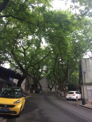 -唯一旅拍·颂当代影像艺术中心(上城店)