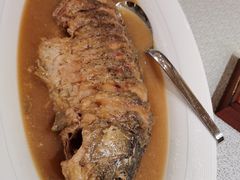 红烧黄河大鲤鱼-阿庄新豫菜(航海东路店)