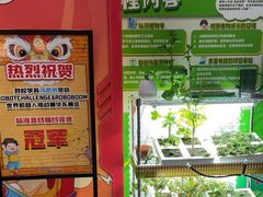 -艾克瑞特机器人教育(金狮校区)