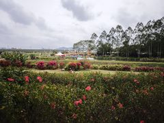 -光明小镇欢乐田园
