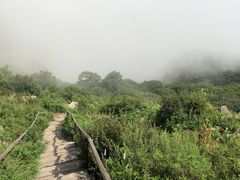 -白草畔自然风景区