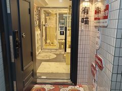 -有喵·猫咖·狗咖·30几只猫10只小狗(岗厦店)
