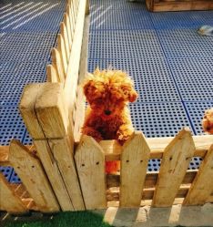 -萌宠亲子动物乐园(槐房万达店)