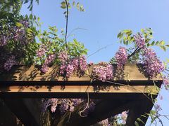 -白塘生态植物园