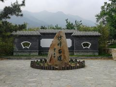 -阳台山自然风景区