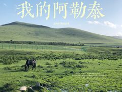 -丰宁坝上草原