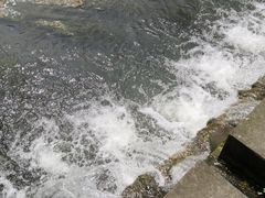 -桤木河湿地公园