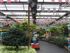 -南宫五洲植物乐园