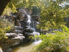 -宁波浙东大竹海景区