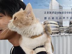 -观音桥步行街