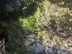 -黄山翡翠谷景区