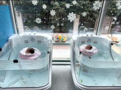 -馨月汇·独栋月子会所(静安店)
