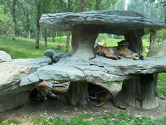 -北京野生动物园