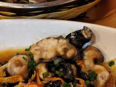 娃娃鱼-汇景花园酒家(基立下道店)