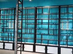 -Trend1881视光·蔡司视觉(领展广场店)