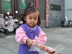 -糖葫芦王保定名吃(古莲花池店)