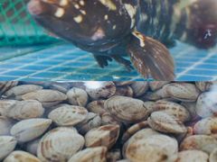 -三亚火车头万人海鲜广场