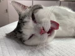 -佳雯宠物医院(四明中路分院)