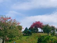 -东莞植物园