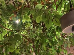 -蜜桃餐厅·伴山(湖滨商业街店)