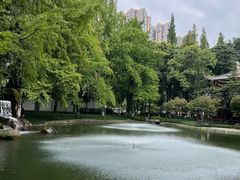 -温江公园