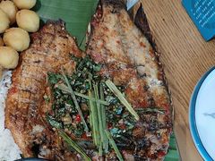 -金塔傣乡·云南民族特色菜·傣味手抓饭(金瓦路店)