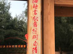 -北海金海湾红树林生态旅游区