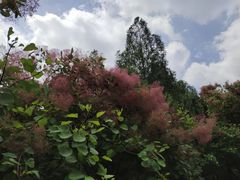 -山东省千佛山医院