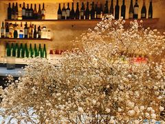 -良木缘咖啡西餐(太古里店)