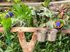 -南宫五洲植物乐园