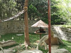 -上海野生动物园