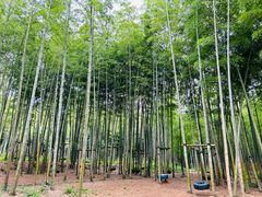 -陶祖圣境风景区