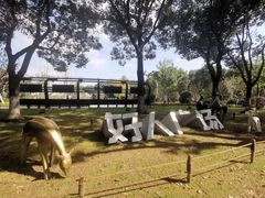 -昆山城市生态森林公园